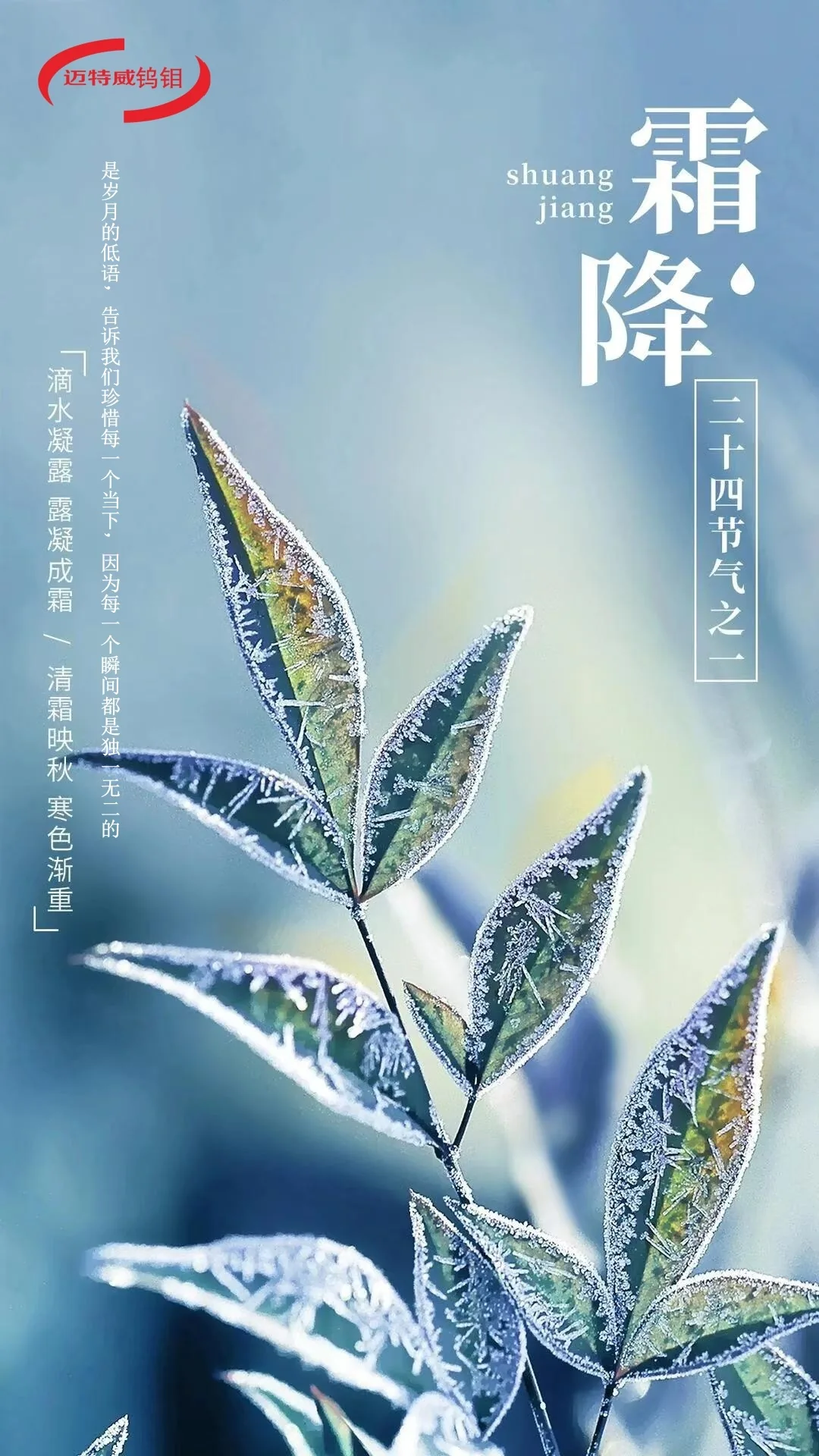 二十四节气霜降