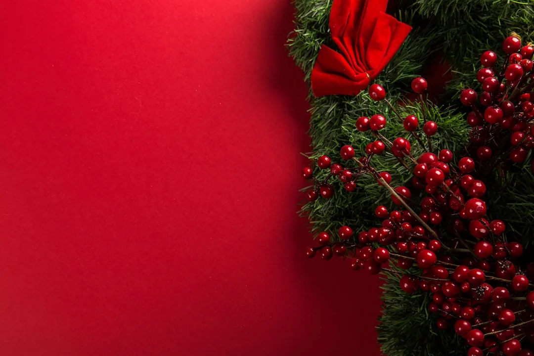 Merry Christmas