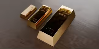 梦莱“金砖”